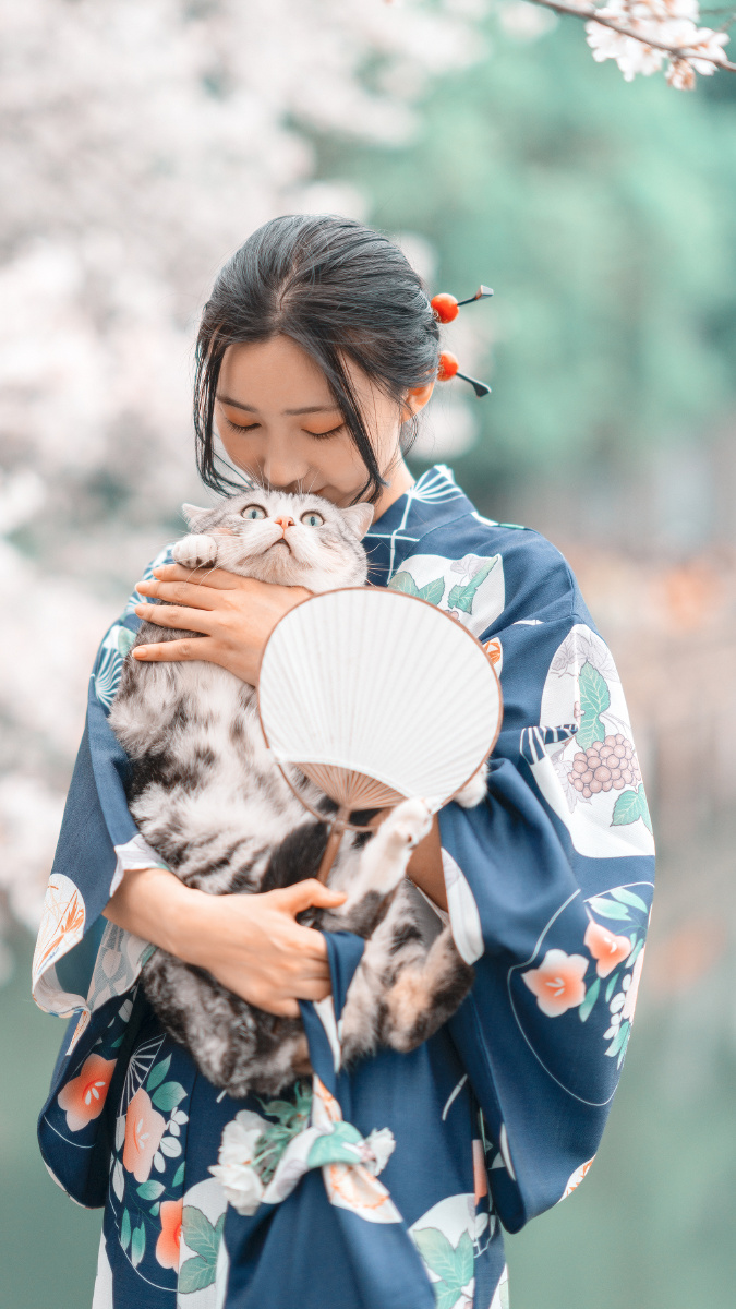樱花季,和服少女与猫