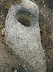 498341