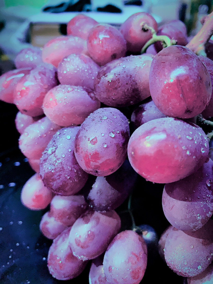 布满果粉的新鲜无籽红提