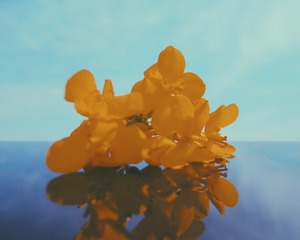 7191BF08-3DEA-4A52-A63E-09953F6FC36E/L0/001