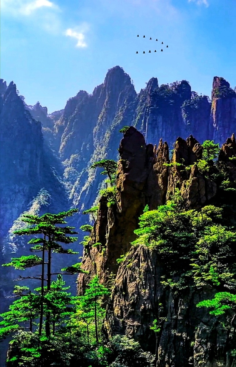雁南飞
