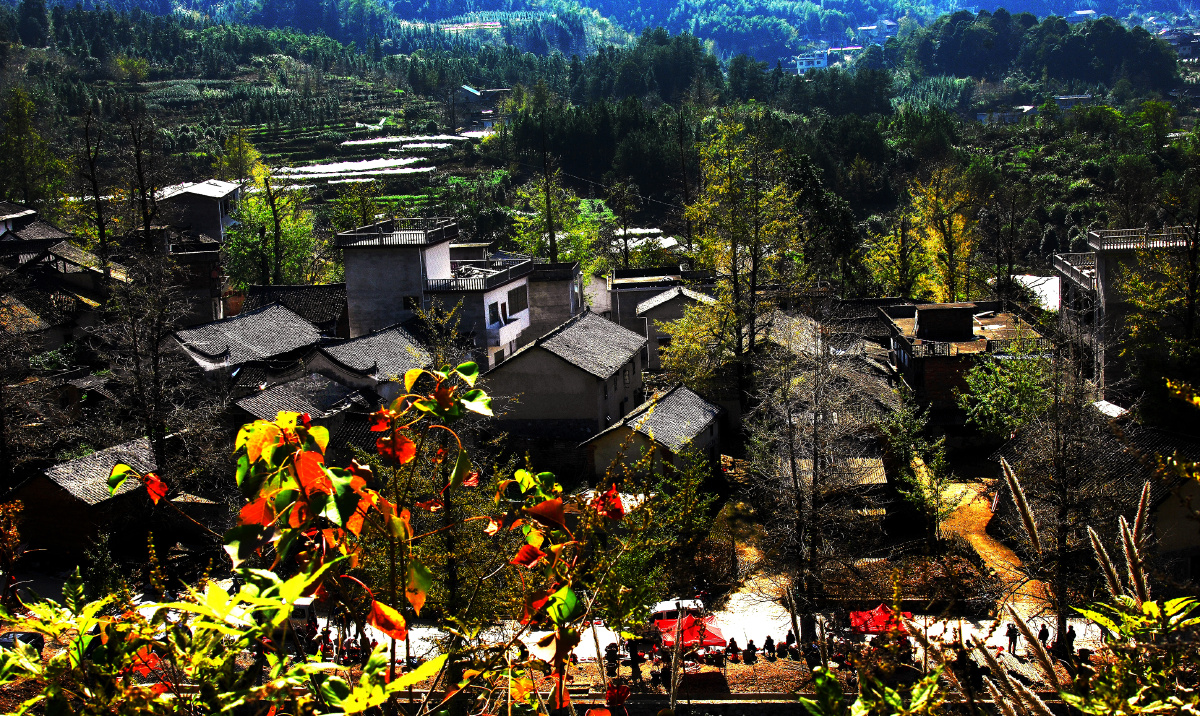 鱼村- 水刀八木1966