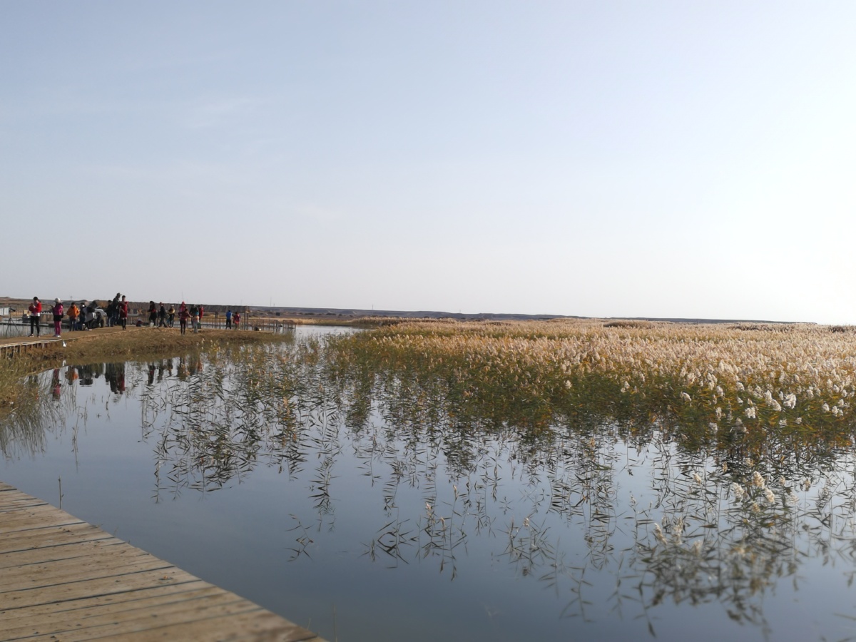 极致光影国庆居延海景区拍摄