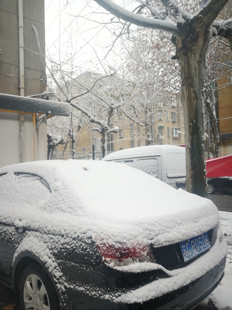极致光影百年不遇徐州大雪早上刚开始下雪