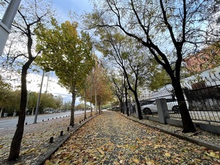 F23B4BB6-91AB-4B86-B53D-E68CC991B482/L0/001