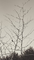 0DF35350-A66E-43F8-B184-B6501BAEC1E1/L0/001