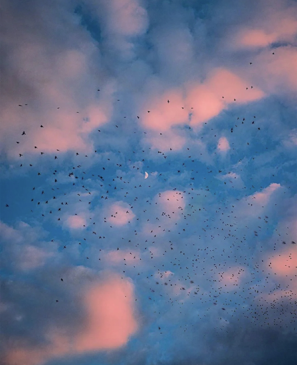 关于彩色的云太漂亮了吧