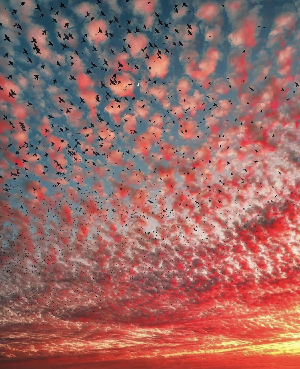 关于彩色的云太漂亮了吧