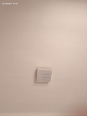 1000048827