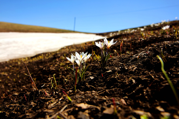 春到阿克乔克草原 摄影师