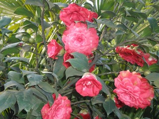 P3110131