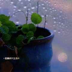 CA50D2AD-E735-49A8-B3DF-3683942D2B94/L0/001
