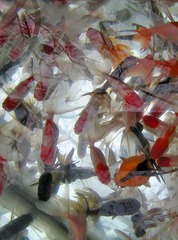 照片 651.jpg