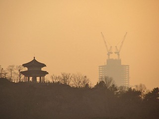 IMG_6966.jpg