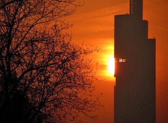 IMG_6981.jpg