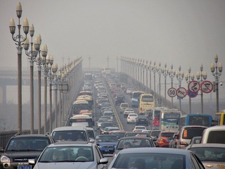 IMG_8893.jpg