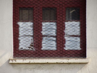 IMG_2434.jpg
