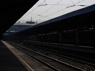 IMG_2464.jpg