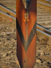 IMG_1976.jpg