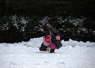 IMG_2735.jpg