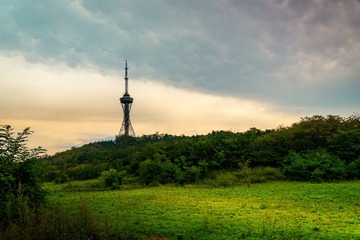 556625