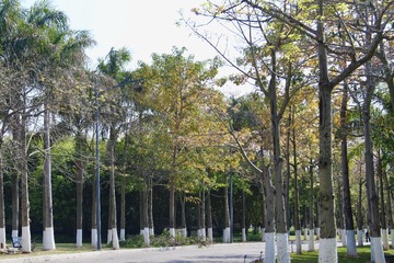 D6385F4C-560B-4DDA-897A-B60CF66951B3/L0/001