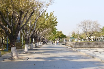 D13EC899-3F84-48BF-810E-23FE3622DDBE/L0/001