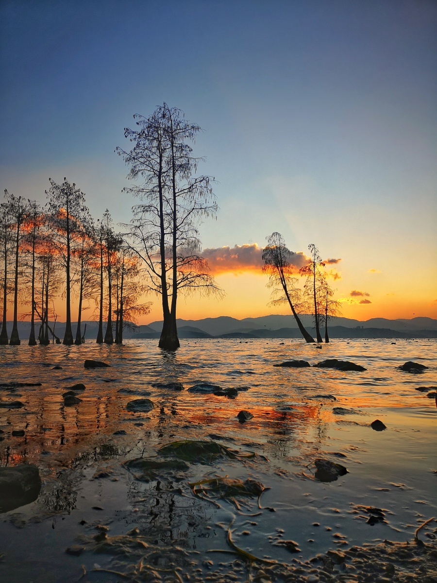 龙龛码头日出 - 长大中的驴 - 图虫