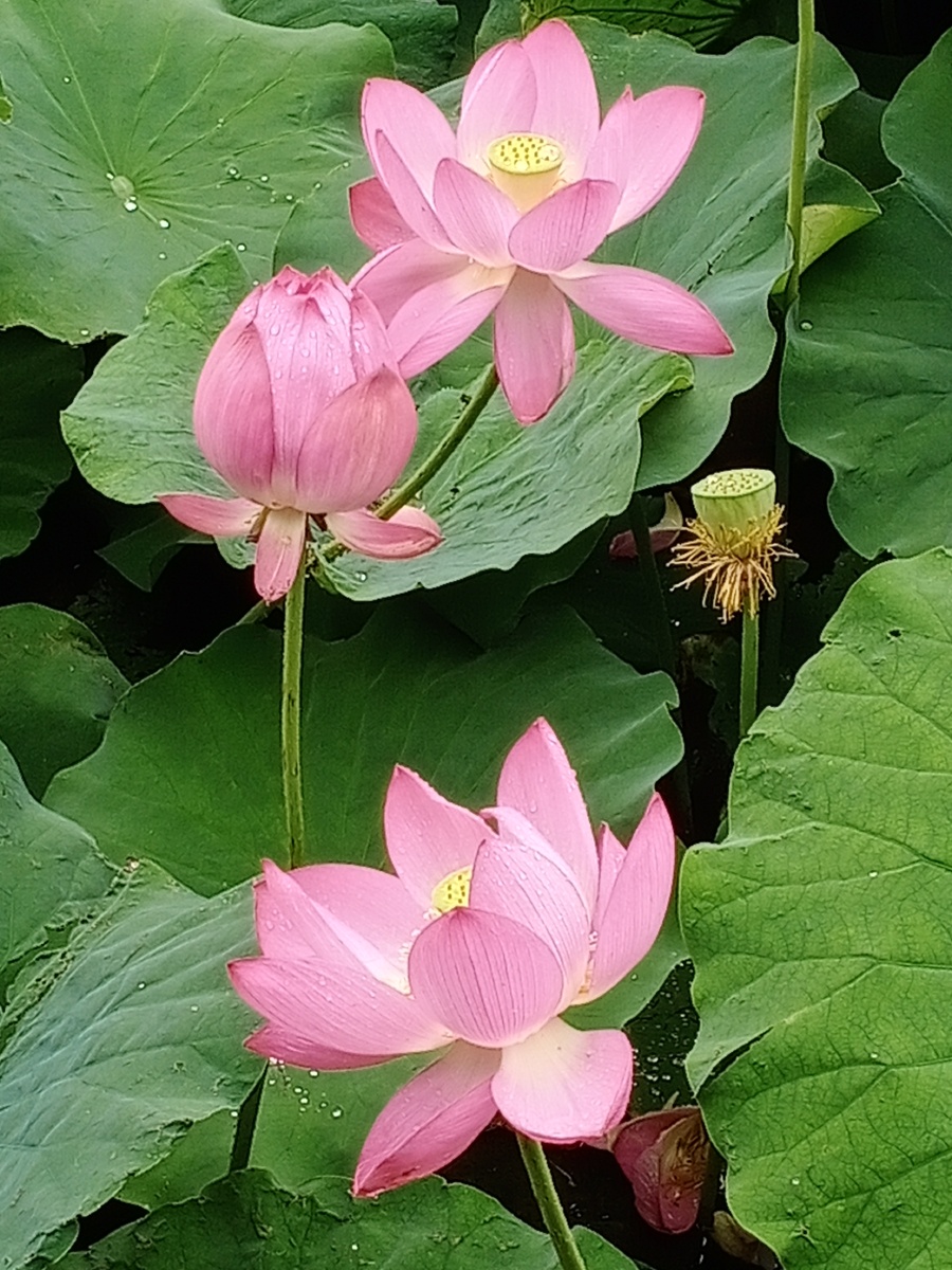 每张照片都能让你想到一个人