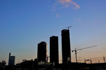 _DSC2412