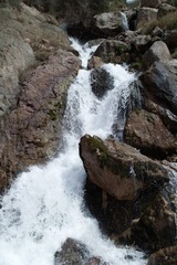 SDIM0493