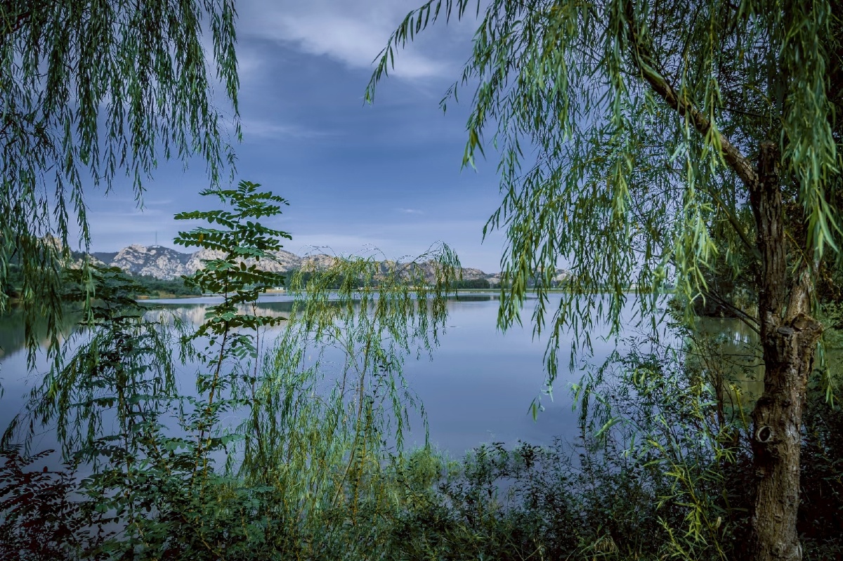 不同的视角看风景