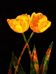9A3956DE-5427-46FF-B84B-2024F2CFBF52/L0/001