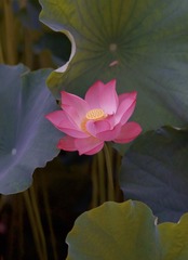 3564F3FD-5785-4D70-BD9C-7E95AA746677/L0/001