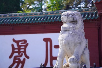 E50A9470-9073-4C94-985C-B952EEDEB0CA/L0/001