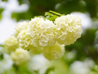 A430BD15-C451-4E85-9AE5-B2EB3F2D1A15/L0/001