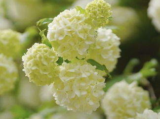 77ED874B-5345-41B2-A98E-6DD044E4DF14/L0/001