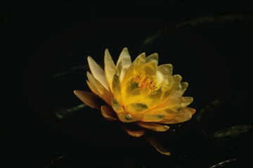 8D84BFAA-3EF0-4D7A-80FD-A481E57EE483/L0/001
