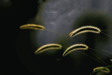 DDE8DED3-7A6F-4335-9AA4-0F601347B725/L0/001
