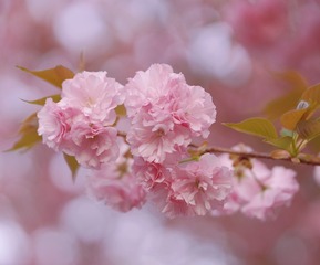 0AE65F9D-5D05-46A8-B4CE-D867C72B050A/L0/001