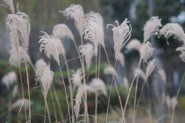 B2F6CF51-2477-4ADD-8E88-7A9D54D7DF5F/L0/001