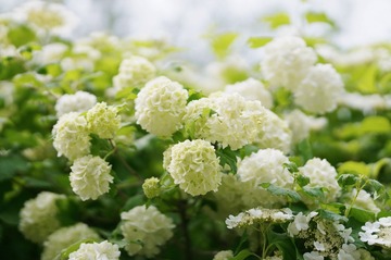 54498D07-AD35-4291-AAE0-6202C789AB51/L0/001