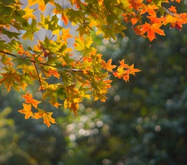 0B3C8987-F62A-42DC-A3D4-8B1809D9AF39/L0/001