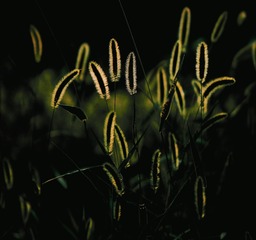465D2671-7A40-49A6-826D-F8398D77AA45/L0/001