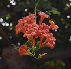 E3E85592-84AB-4076-BB10-C8FDA2D4E764/L0/001
