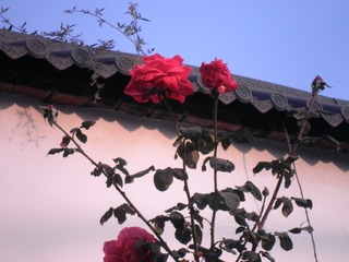 Optional("14BAFBC0-BD73-4D3A-BCB7-220D9310388D/L0/001")