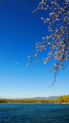 9D5BD34B-CD70-4199-B54F-E45C33B20A9A/L0/001