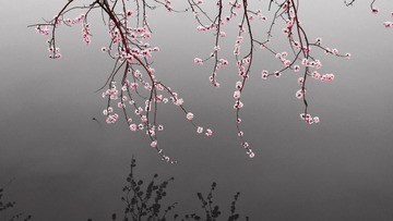 49DBB895-BC74-4819-A71C-19EAC03C10D7/L0/001