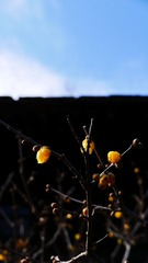 1B492DBF-CB2C-4130-A313-A3E94541533A/L0/001