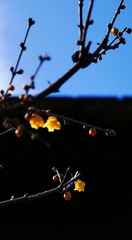 27E95F3A-E6EF-43C9-8C4B-FB14EC124E9A/L0/001